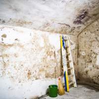 Feuchte Flecken und Ausblühungen an einer Kellerwand