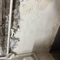 Schimmel und abblätternder Putz an einer Wand