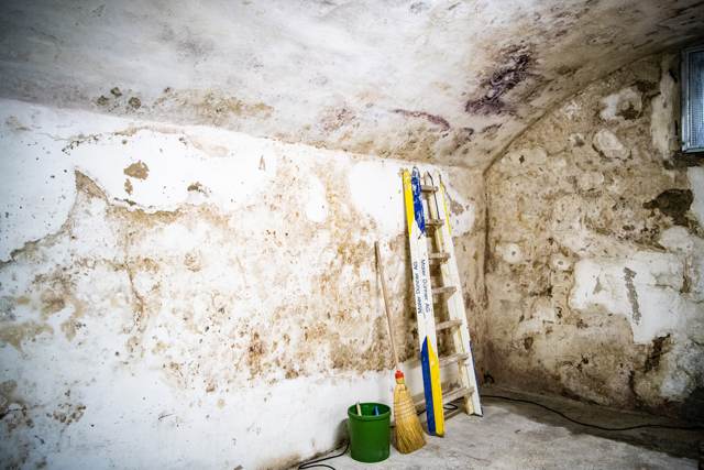 Feuchter Keller mit Ausblühungen vor der Sanierung