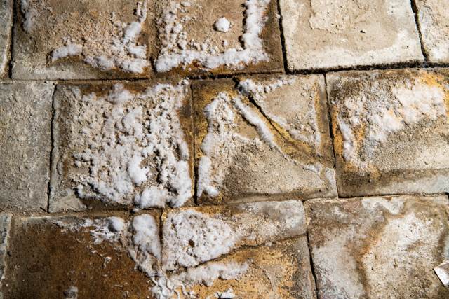 Starke Salzausblühungen auf Natursteinmauerwerk vor der Sanierung